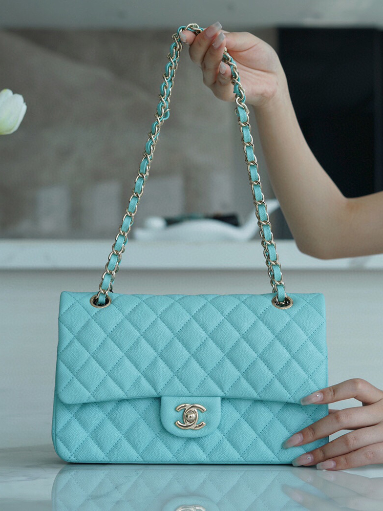 CHANEL-클래식 플랩 백 (25CM)-52