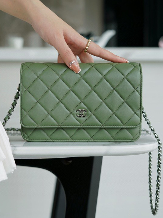 CHANEL-클래식 WOC 캐비어 미니 크로스백 (19cm)-267