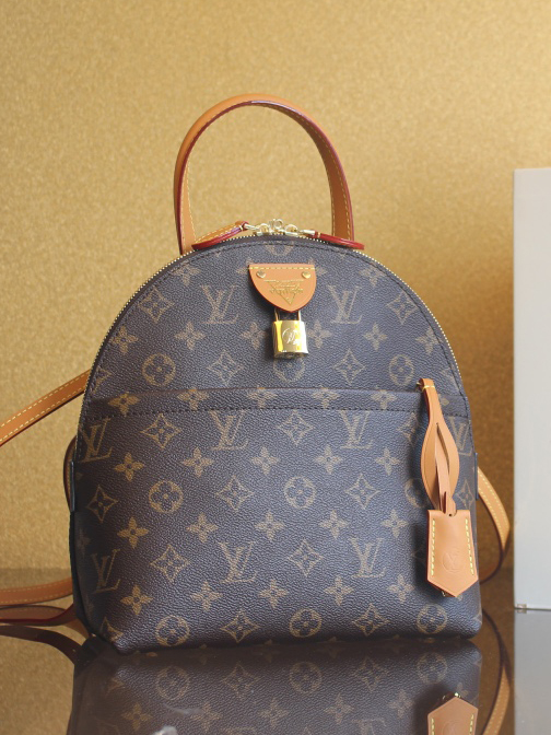 LV-문 백팩-18