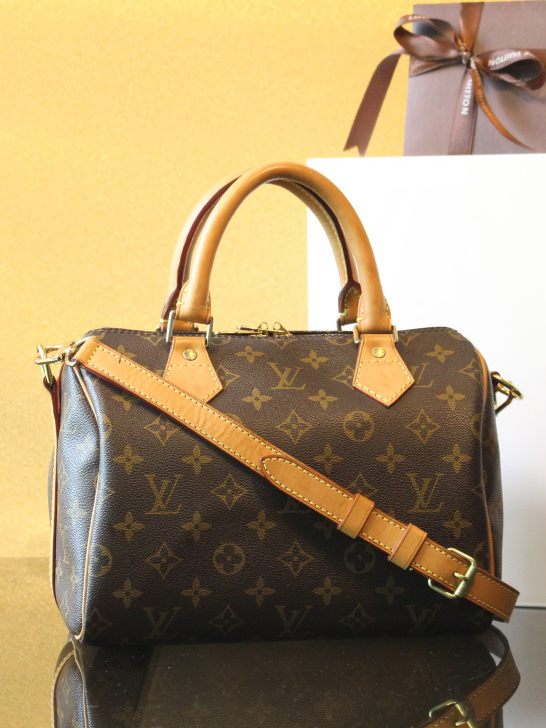 LV-반둘리에25-108