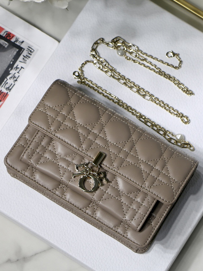 DO-1-레이디 디올-10