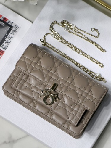 DO-1-레이디 디올-10