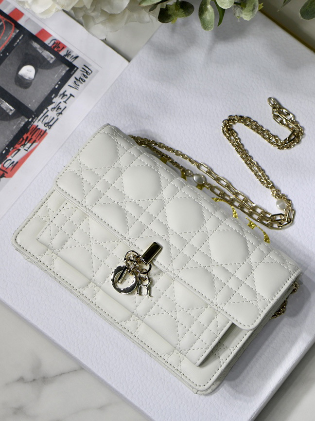 DO-1-레이디 디올-10