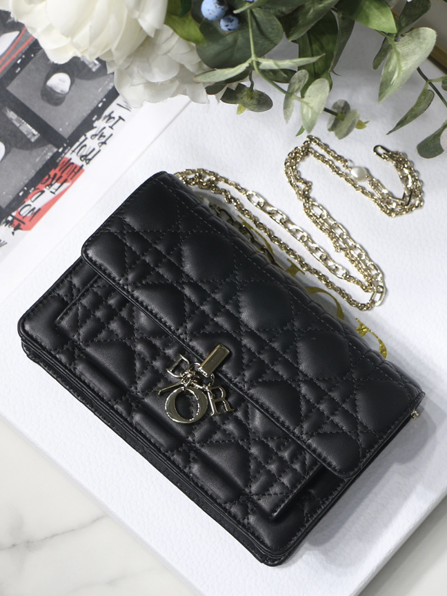 DO-1-레이디 디올-11