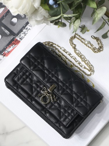 DO-1-레이디 디올-11