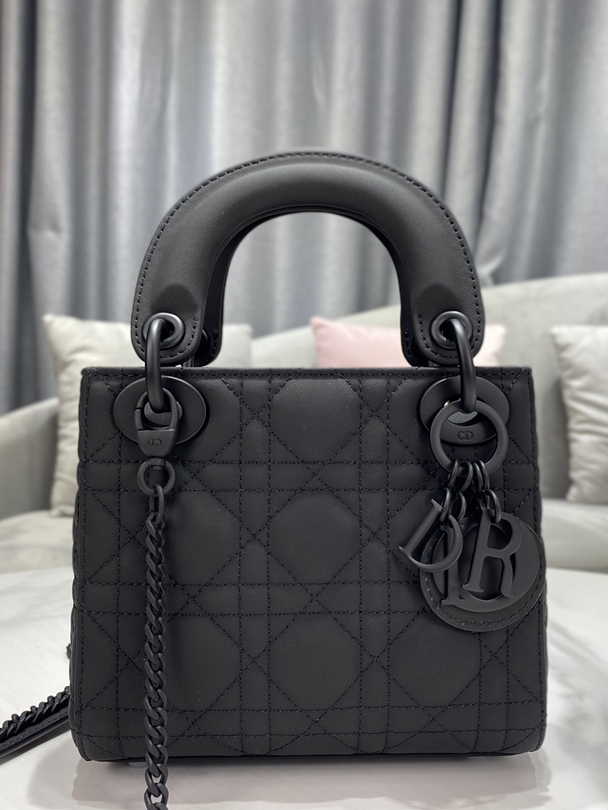 DO-1-레이디 디올백-21