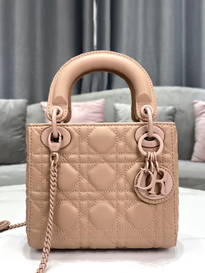 DO-1-레이디 디올백-24