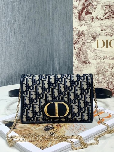 DO-1-몽테인 체인백-110