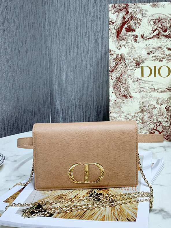 DO-1-30 몽테인 체인백-111