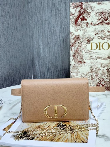 DO-1-30 몽테인 체인백-111