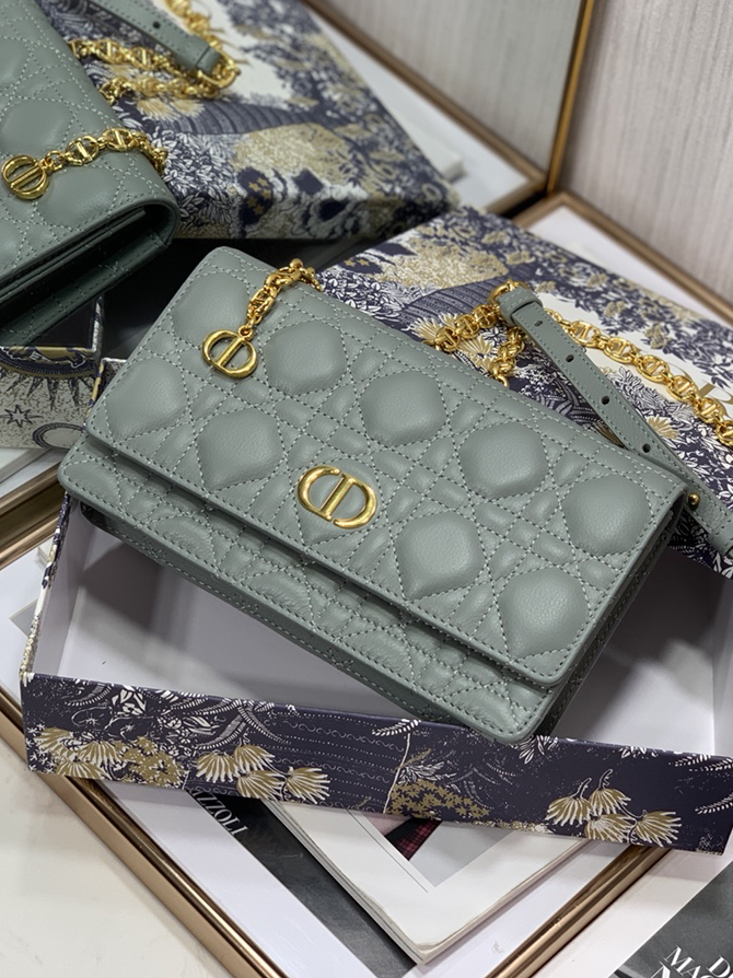 DO-1-카로 퀠팅 체인백-206