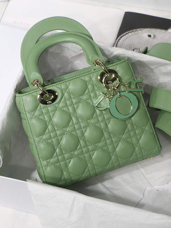 DO-1-마이 레이디백-265