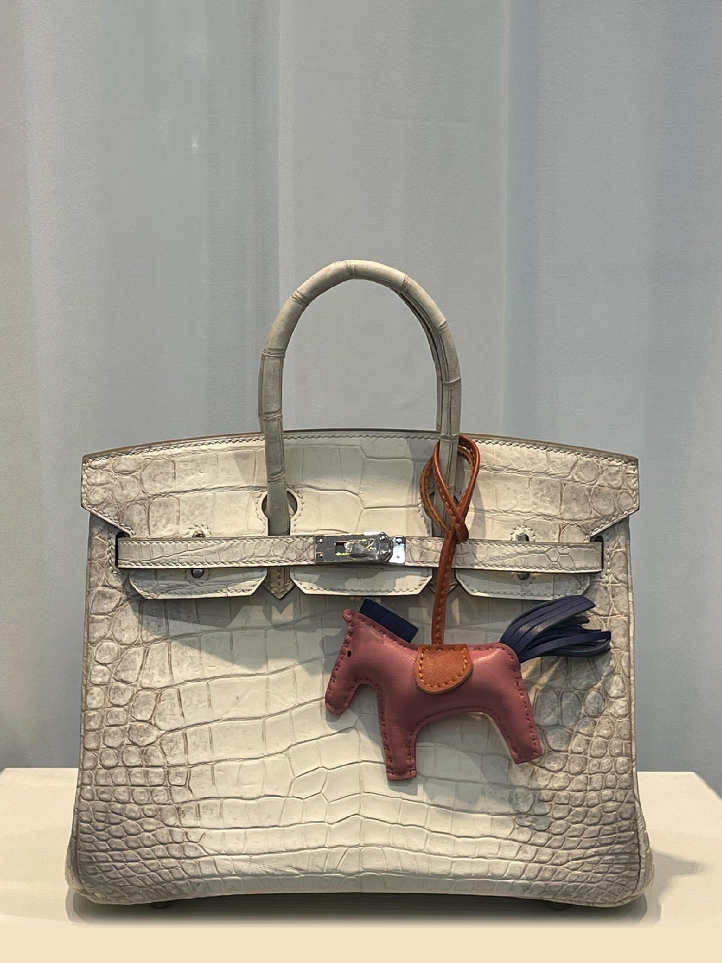 HERMES-버킨25 악어무늬-29