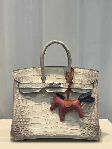 HERMES-버킨25 악어무늬-29