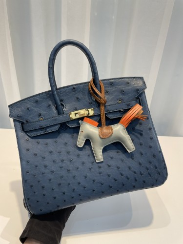 HERMES-버킨25 타조가죽 금장-63