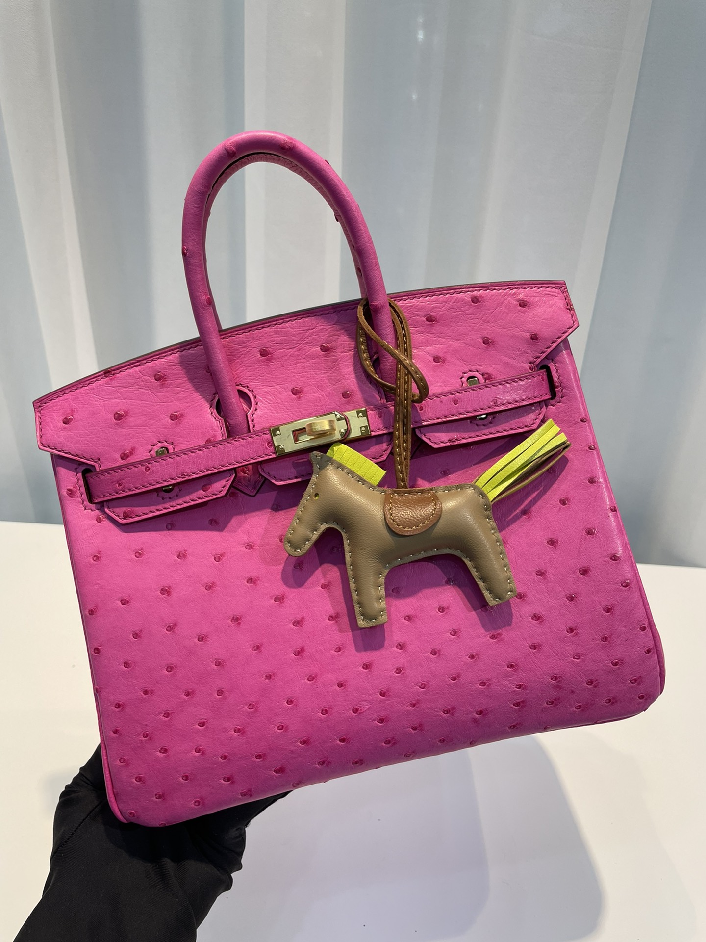 HERMES-버킨25 타조가죽 금장-66