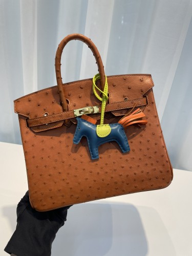 HERMES-버킨25 타조가죽 금장-67