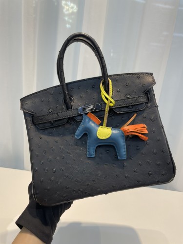 HERMES-버킨25 타조가죽 흑장-69