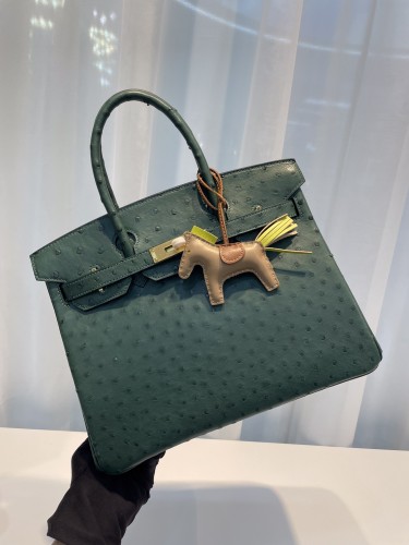 HERMES-버킨30 타조가죽 금장-71