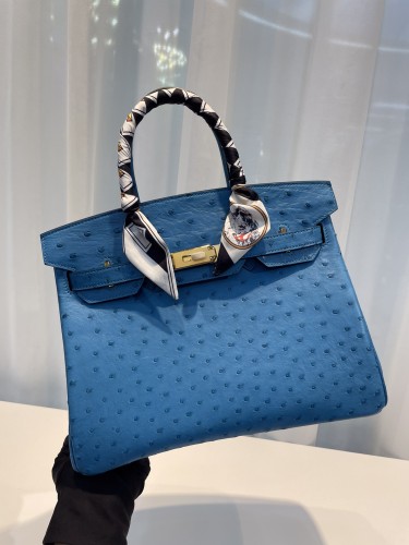 HERMES-버킨30 타조가죽 금장-82