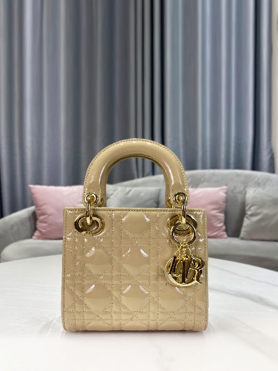 DIOR-레이디 디올 미니 백 ( 17CM )-B119